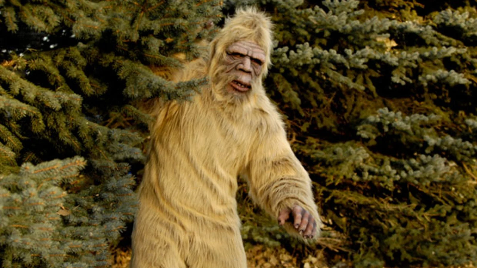 Largefoot