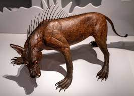 Weird coyote