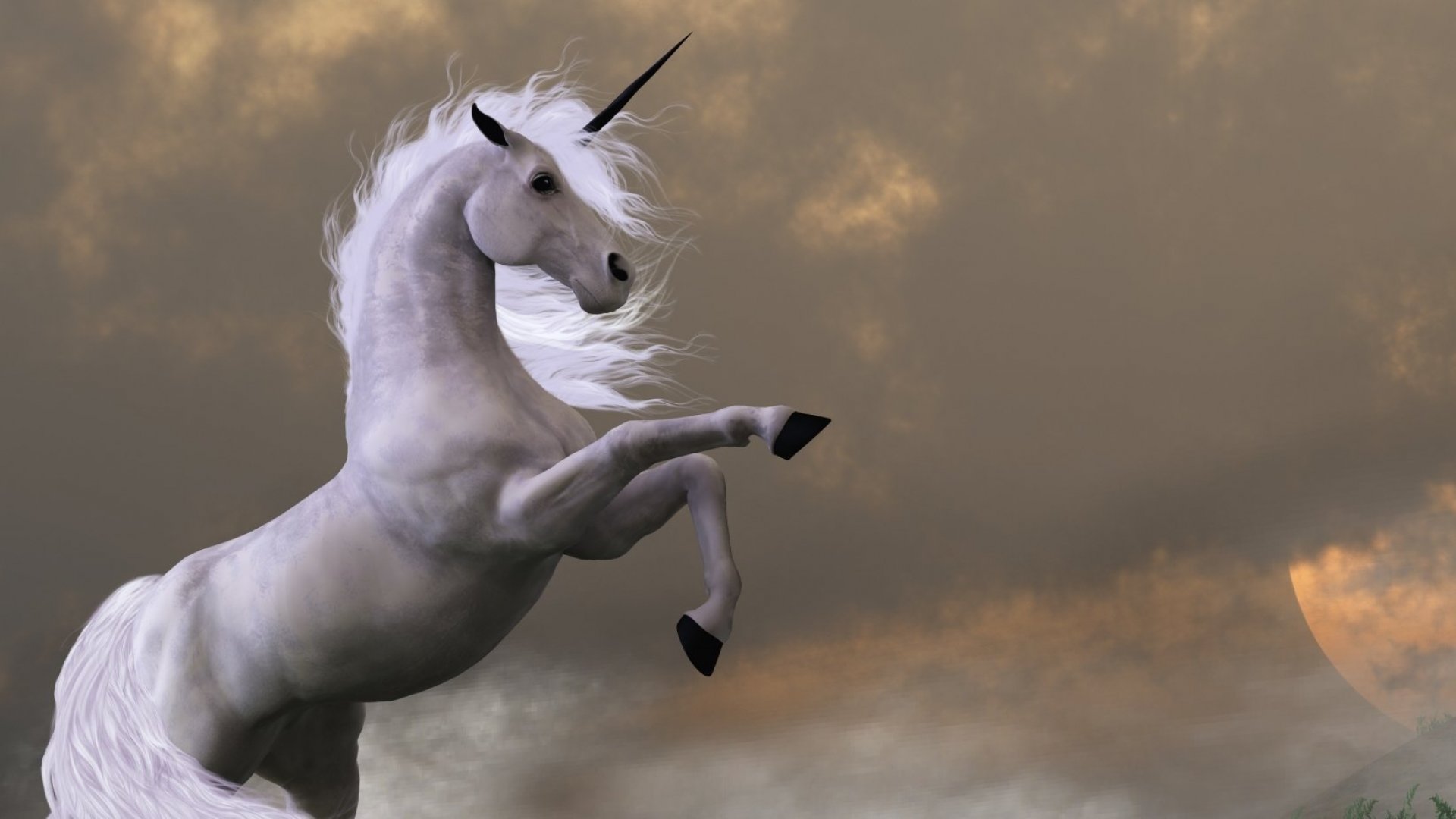 Unicorn